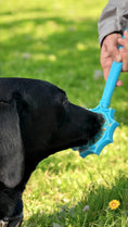 Load image into Gallery viewer, Lick Stick Hand-Held Interactive Enrichment Toys
