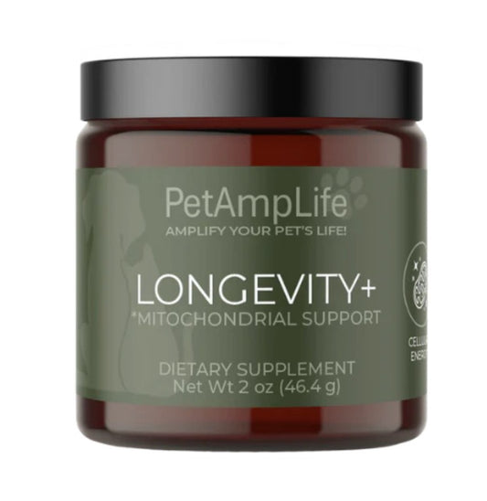 Longevity+ Coenzyme Q10 for Dogs and Cats