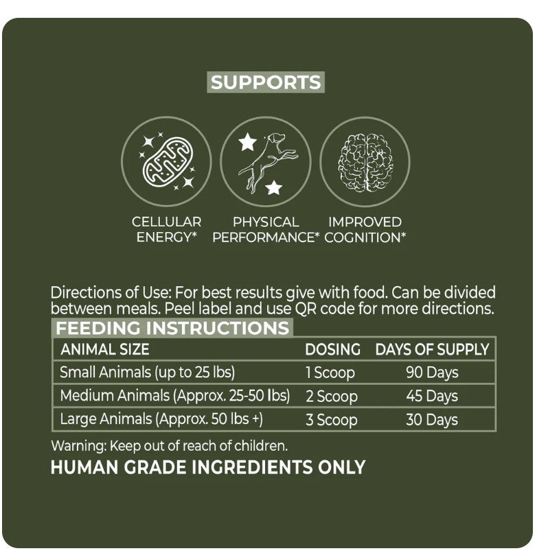 Longevity+ Coenzyme Q10 for Dogs and Cats