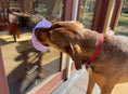 Load image into Gallery viewer, Lotus Design eMat Enrichment Lick Mat With Suction Cups

