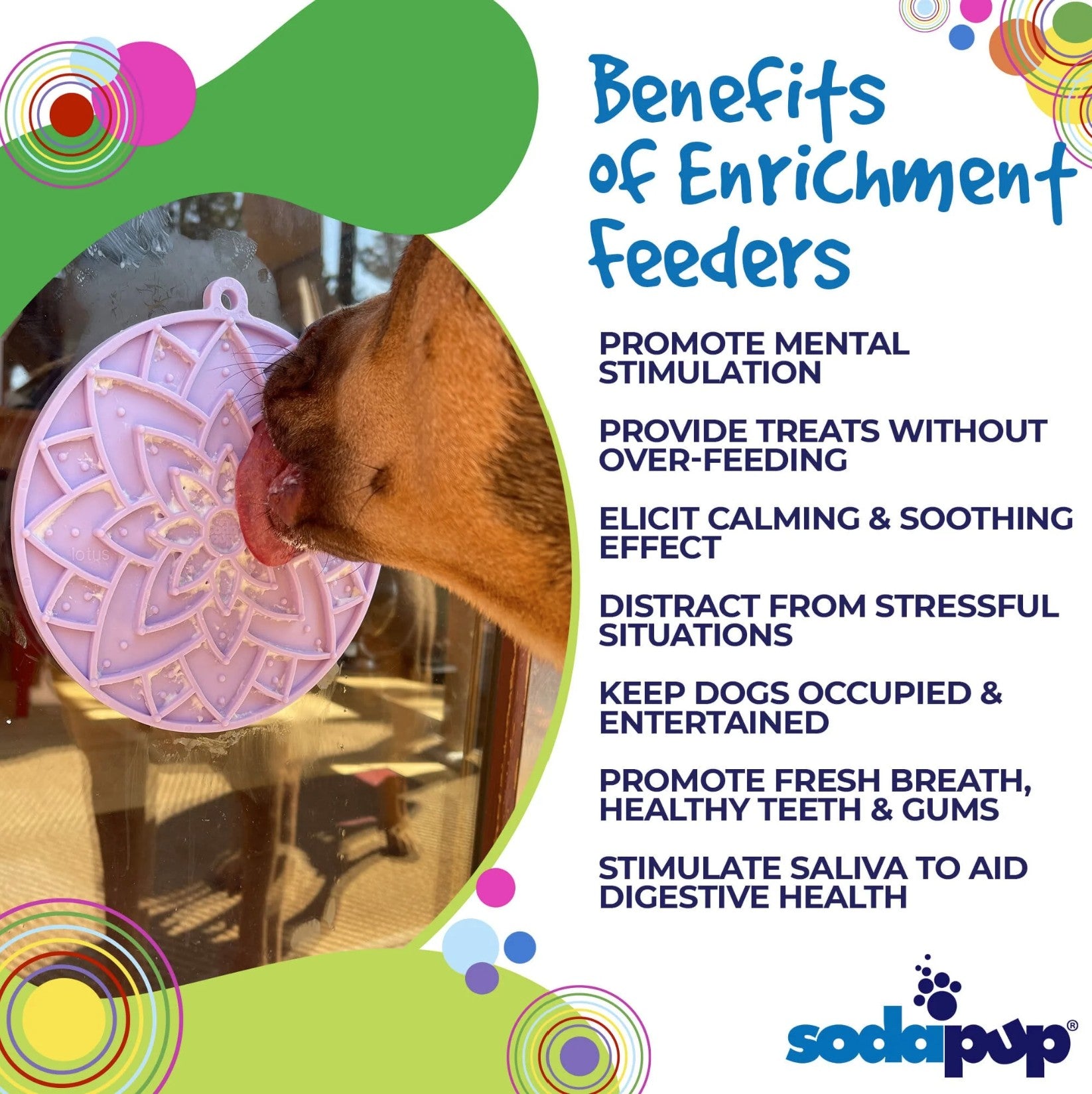 Lotus Design eMat Enrichment Lick Mat With Suction Cups