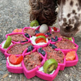 Load image into Gallery viewer, Mandala Design eTray Enrichment Shallow Slow Feeder Dog Bowl
