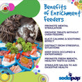 Load image into Gallery viewer, Mandala Design eTray Enrichment Shallow Slow Feeder Dog Bowl

