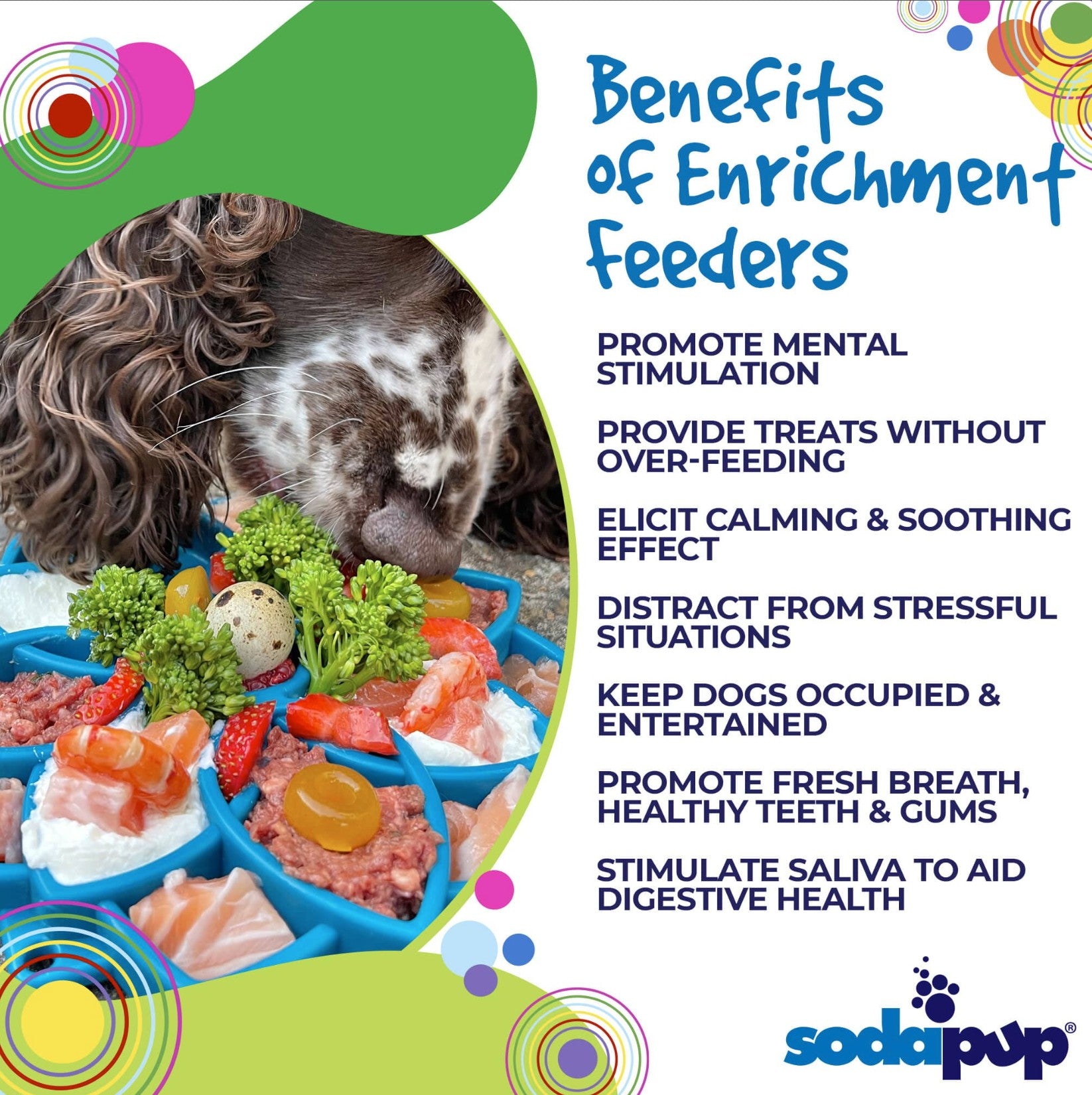 Mandala Design eTray Enrichment Shallow Slow Feeder Dog Bowl