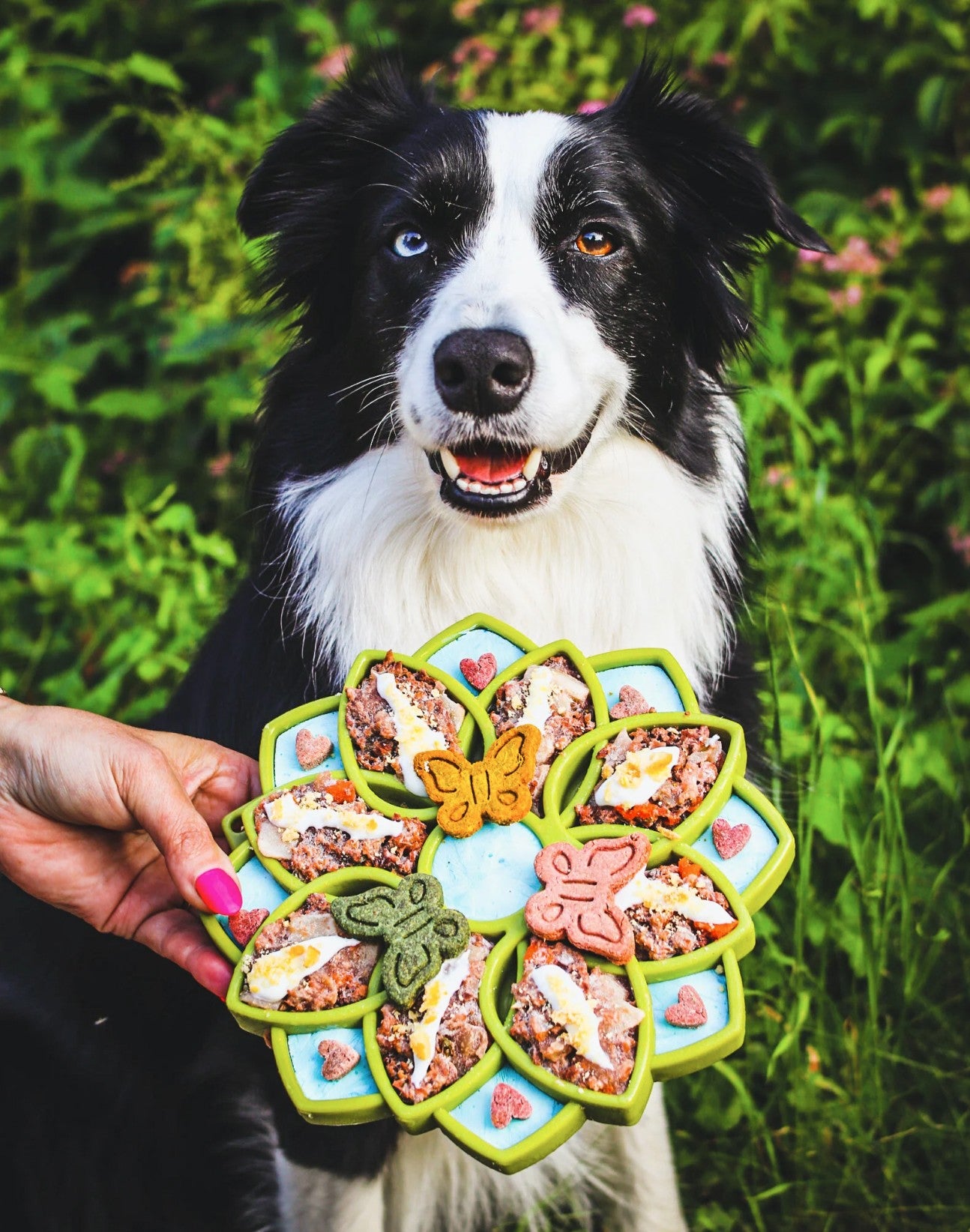 Mandala Design eTray Enrichment Shallow Slow Feeder Dog Bowl