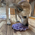 Load image into Gallery viewer, Mandala Softie eTray Enrichment Shallow Slow Feeder Dog Bowl with Suction Cups
