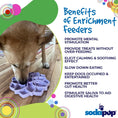 Load image into Gallery viewer, Mandala Softie eTray Enrichment Shallow Slow Feeder Dog Bowl with Suction Cups
