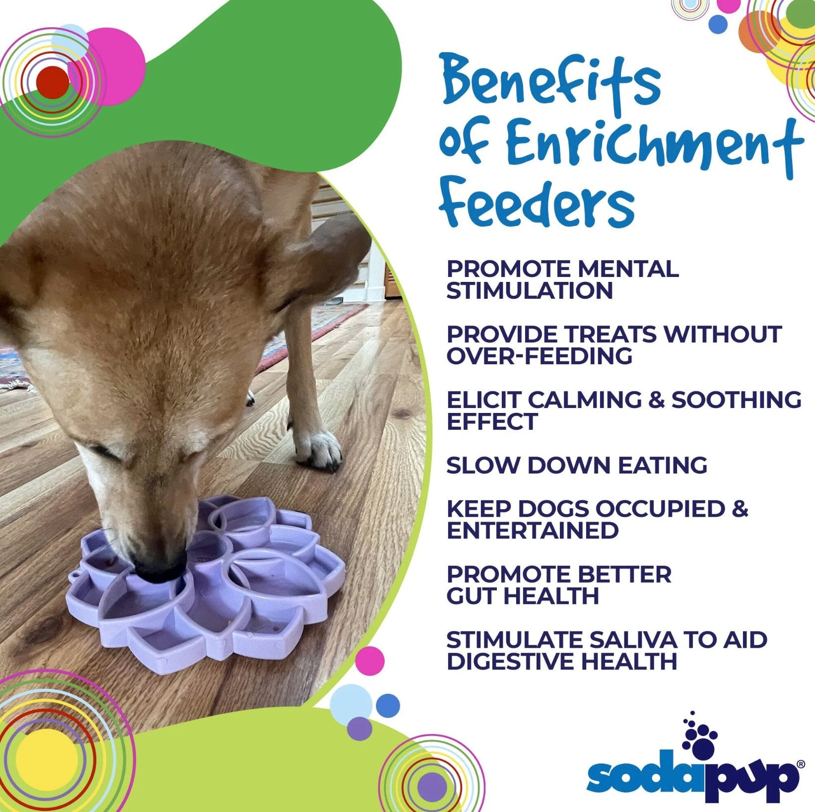 Mandala Softie eTray Enrichment Shallow Slow Feeder Dog Bowl with Suction Cups