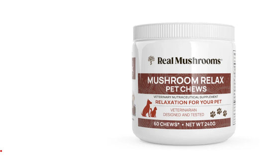 Mushroom Relax Pet Chews - Calming Treats for Dogs and Cats