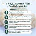Load image into Gallery viewer, Mushroom Relax Pet Chews - Calming Treats for Dogs and Cats
