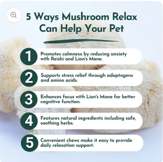 Mushroom Relax Pet Chews - Calming Treats for Dogs and Cats