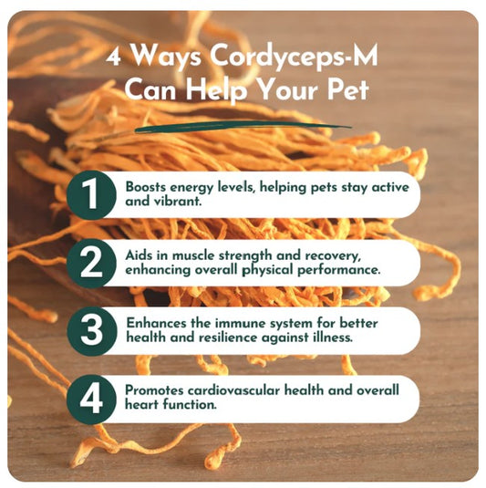 Organic Cordyceps Mushroom Powder for Pets (60 g) - Peak Performance