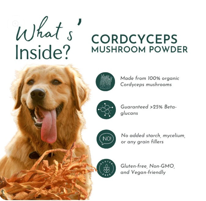 Organic Cordyceps Mushroom Powder for Pets (60 g) - Peak Performance