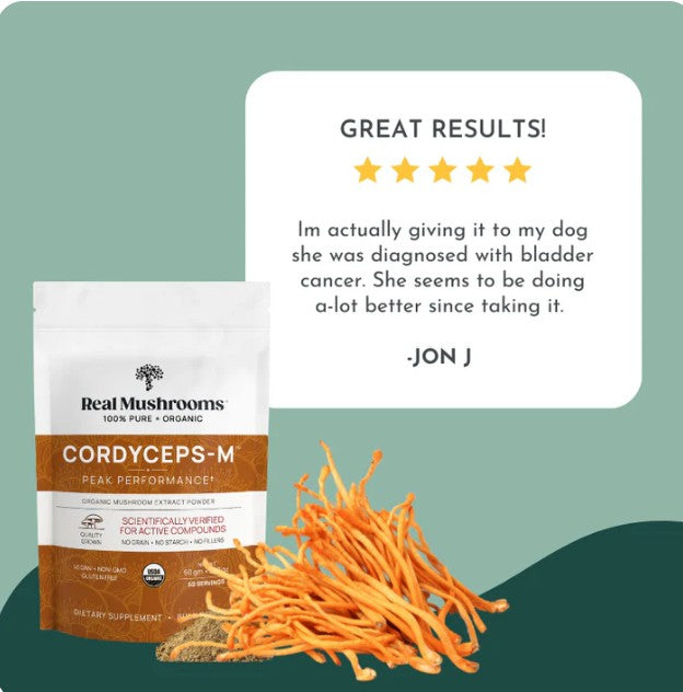 Organic Cordyceps Mushroom Powder for Pets (60 g) - Peak Performance