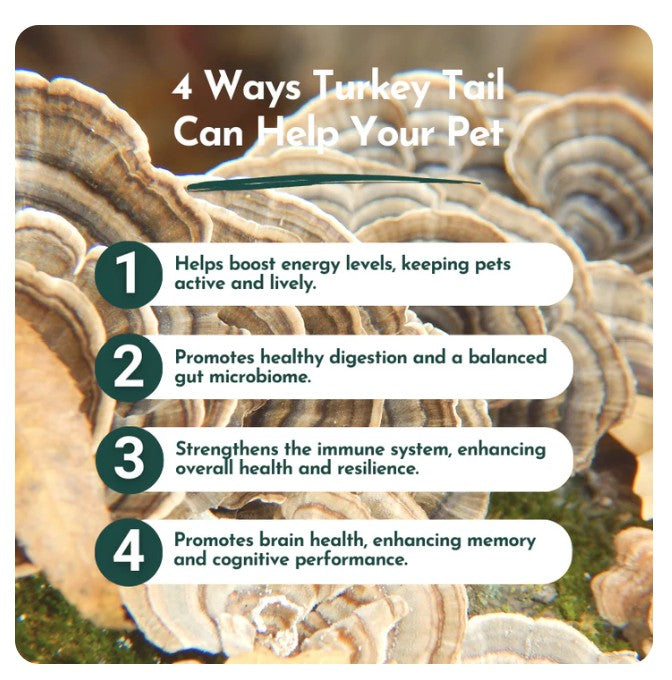 Organic Turkey Tail Mushroom Powder for Pets (45 g)