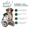 Load image into Gallery viewer, Organic Turkey Tail Mushroom Powder for Pets (45 g)
