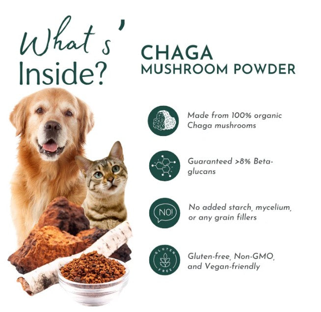 Organic Chaga Mushroom Powder for Pets (60 g)