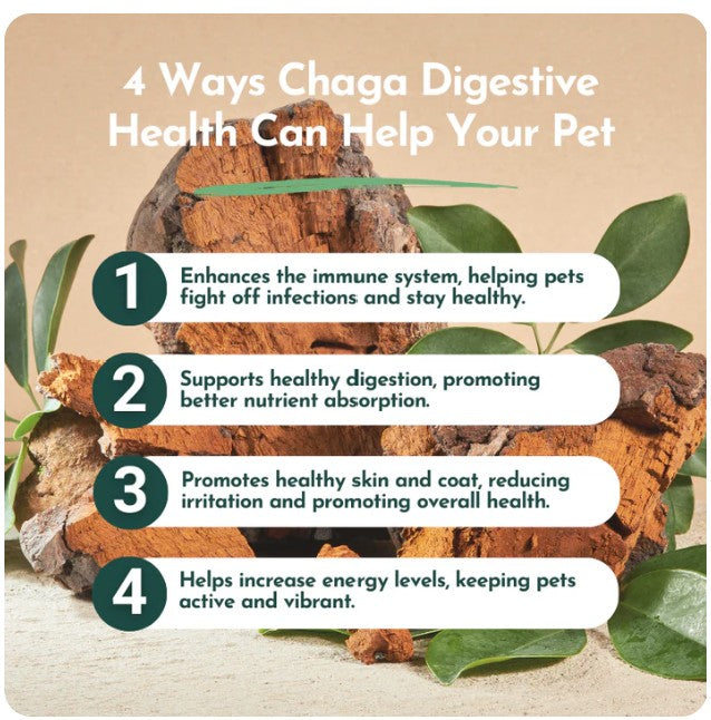 Organic Chaga Mushroom Powder for Pets (60 g)