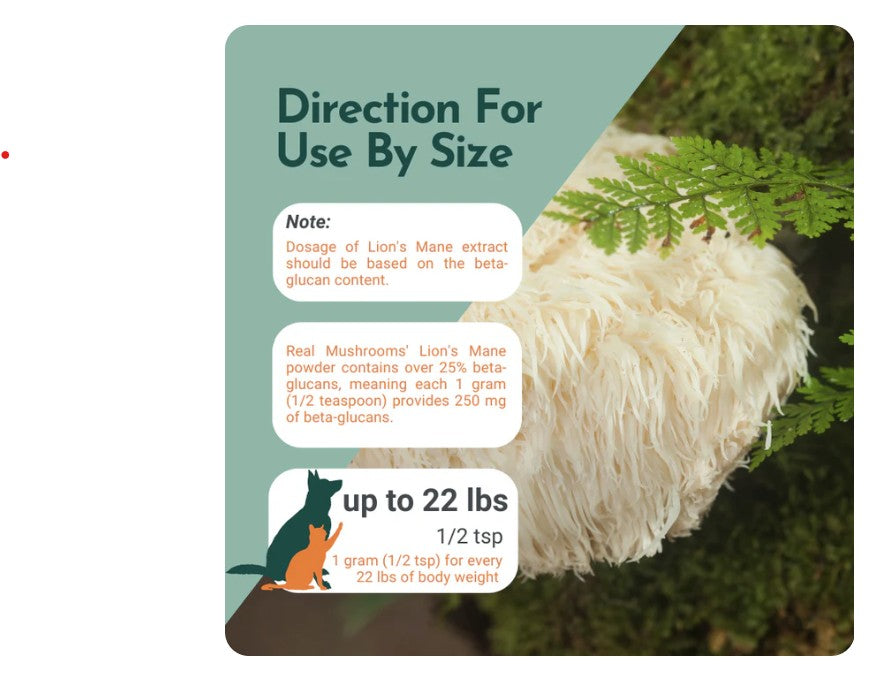 Organic Lion’s Mane Mushroom Powder for Pets
