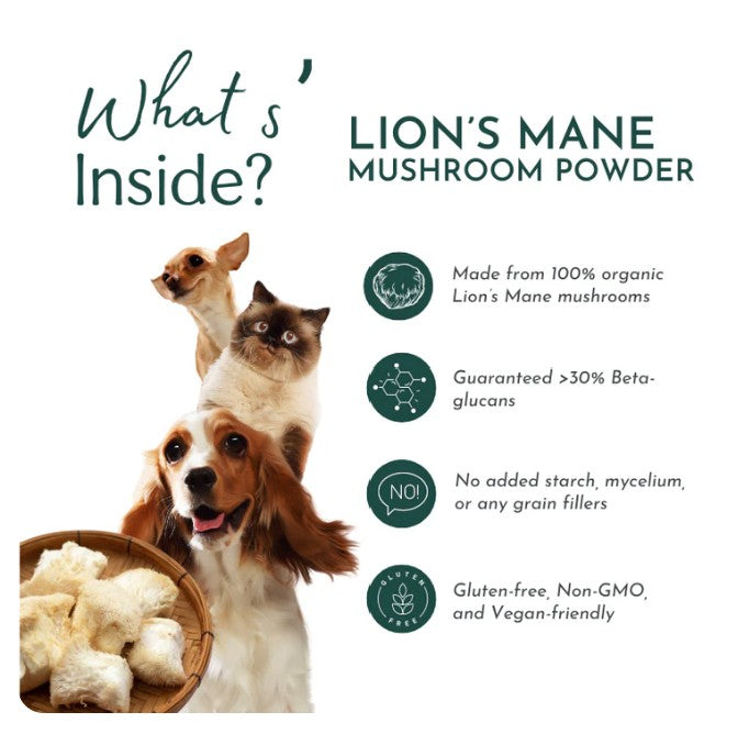 Organic Lion’s Mane Mushroom Powder for Pets