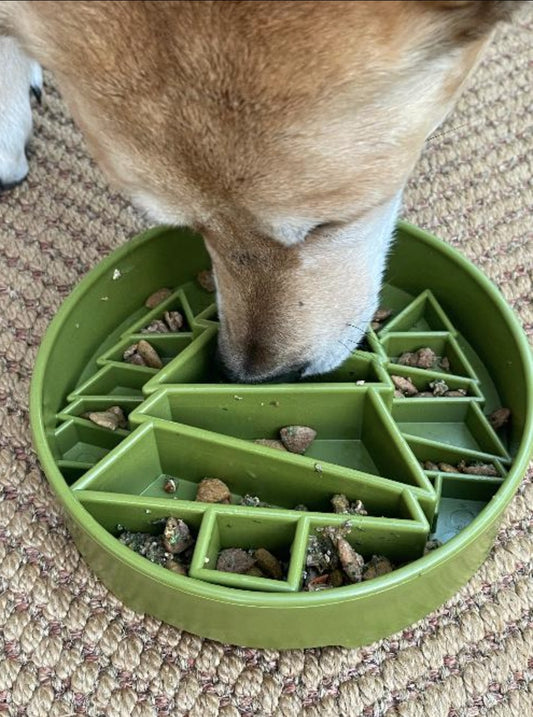 Pine Tree Design eBowl Enrichment Slow Feeder Bowl for Dogs