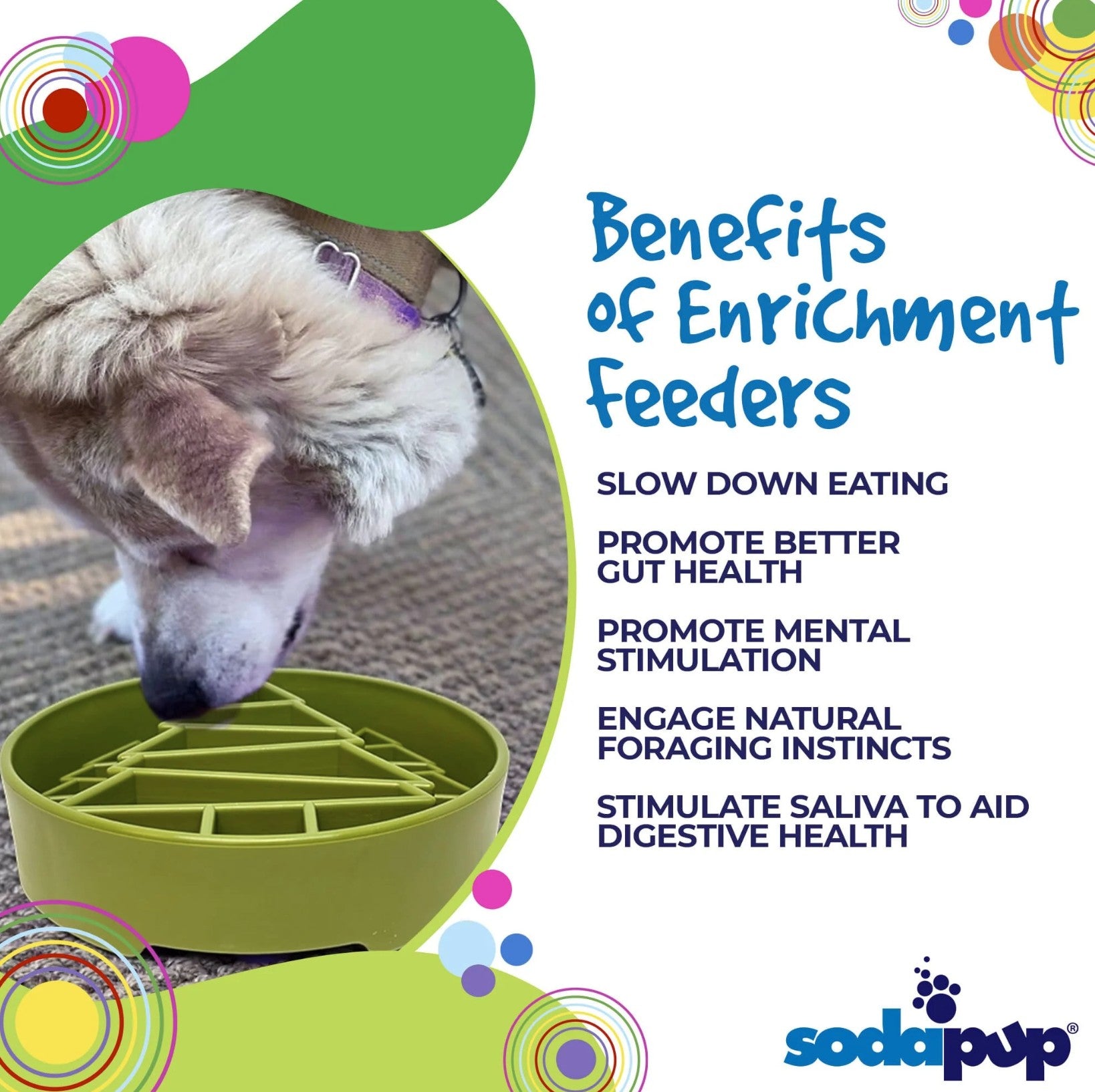 Pine Tree Design eBowl Enrichment Slow Feeder Bowl for Dogs