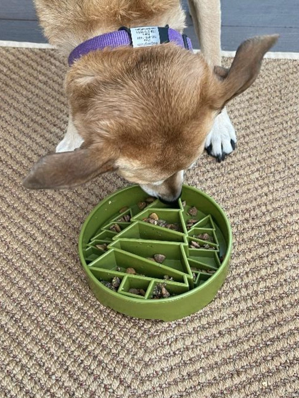 Pine Tree Design eBowl Enrichment Slow Feeder Bowl for Dogs