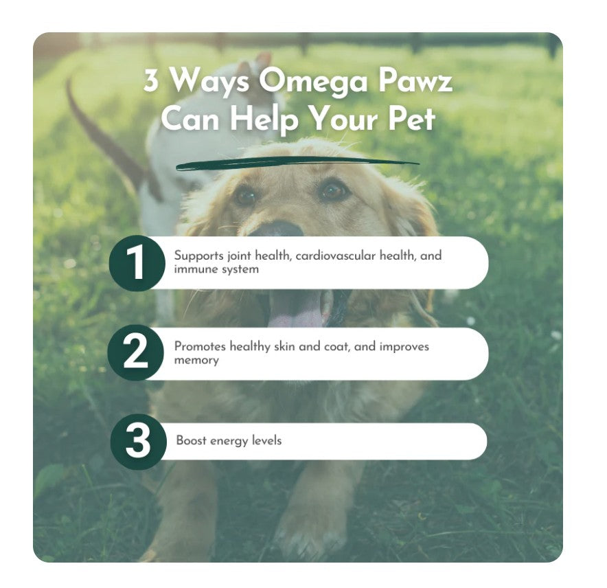 Omega Pawz - Liquid Omega 3 Oil for Dogs and Cats