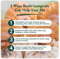 Load image into Gallery viewer, Reishi Mushroom Powder for Dogs & Cats (45 g) - Longevity
