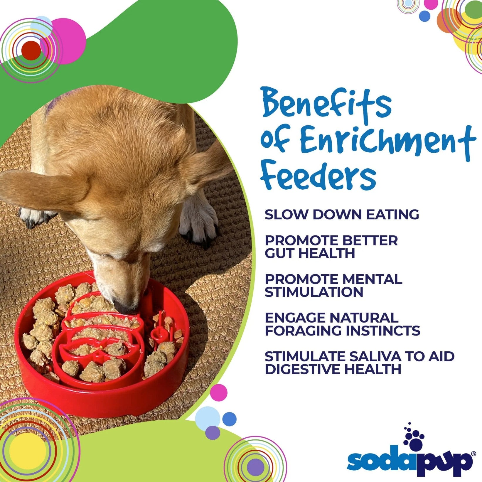 Santa Design eBowl Enrichment Slow Feeder Bowl for Dogs