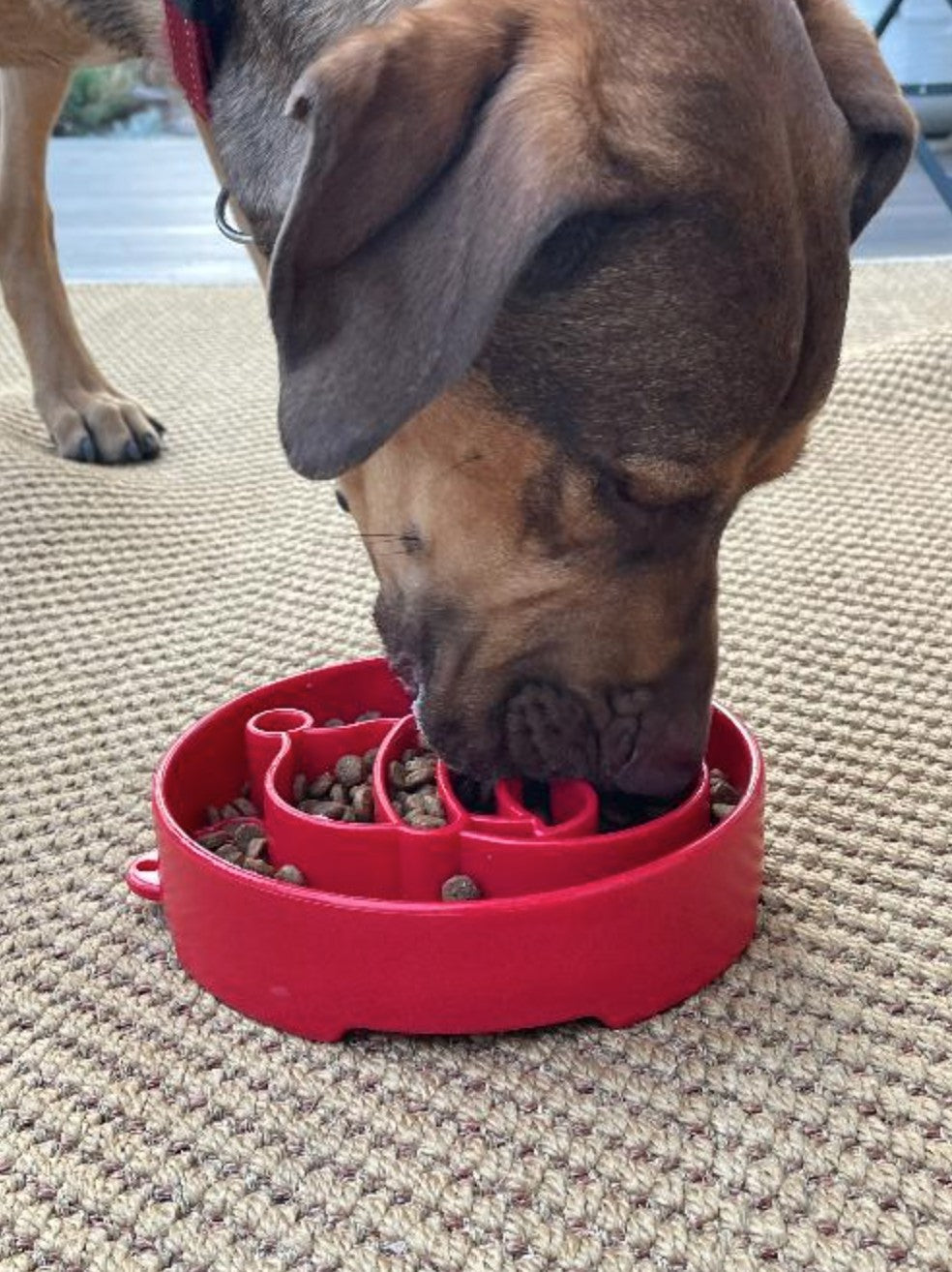 Santa Design eBowl Enrichment Slow Feeder Bowl for Dogs