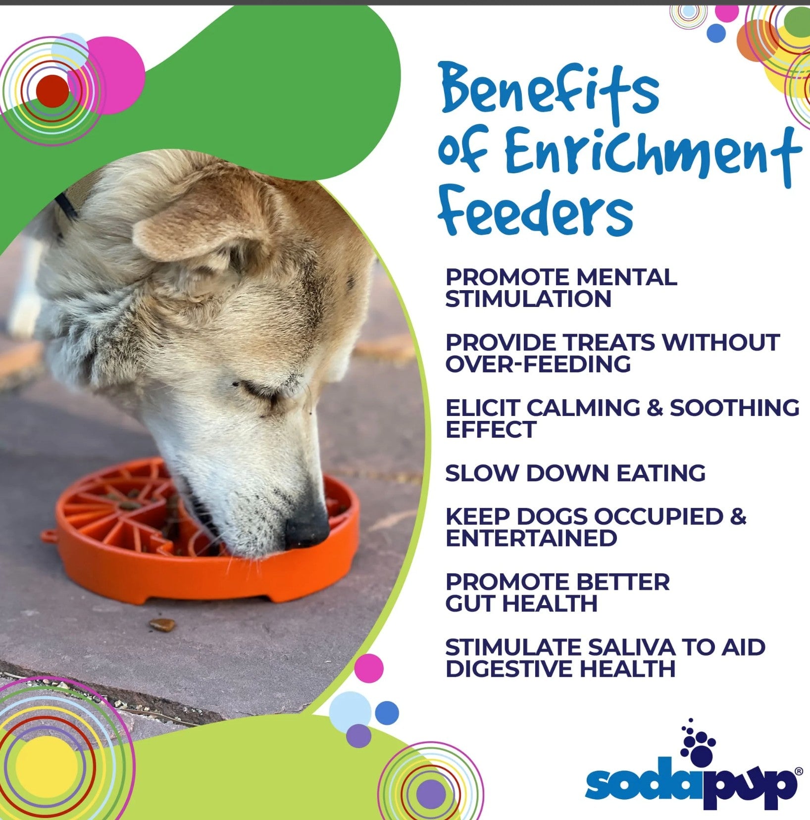 Sun and Moon Design eTray Enrichment Shallow Slow Feeder Dog Bowl