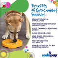 Load image into Gallery viewer, Sunflower Design eTray Enrichment Shallow Slow Feeder Dog Bowl
