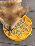 Load image into Gallery viewer, Sunflower Design eTray Enrichment Shallow Slow Feeder Dog Bowl
