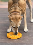 Load image into Gallery viewer, Sunflower Design eTray Enrichment Shallow Slow Feeder Dog Bowl
