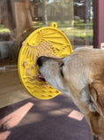 Load image into Gallery viewer, Sun n' Sea eMat Enrichment Lick Mat With Suction Cups
