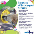 Load image into Gallery viewer, Sun n' Sea eMat Enrichment Lick Mat With Suction Cups
