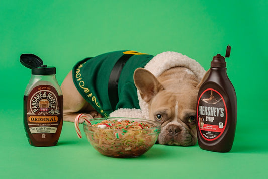 Therapeutic Recipe For A Diabetic Dog