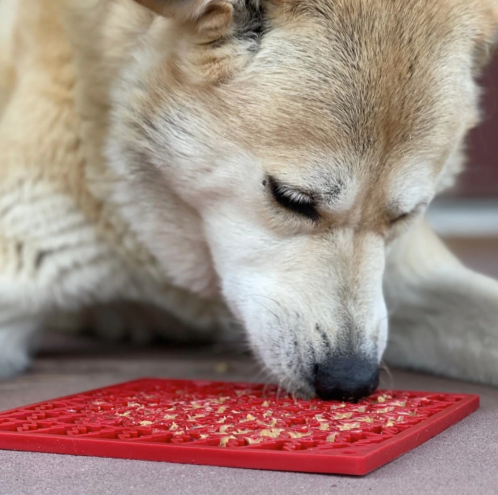 Tree Design "Peace" eMat Enrichment Lick Mat