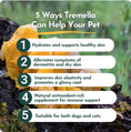 Load image into Gallery viewer, Tremella Mushroom Powder for Pets
