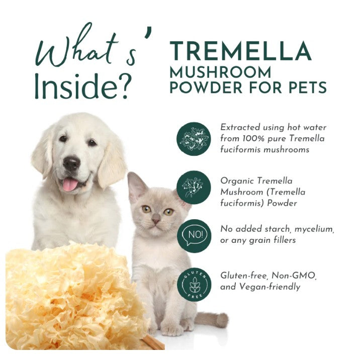 Tremella Mushroom Powder for Pets