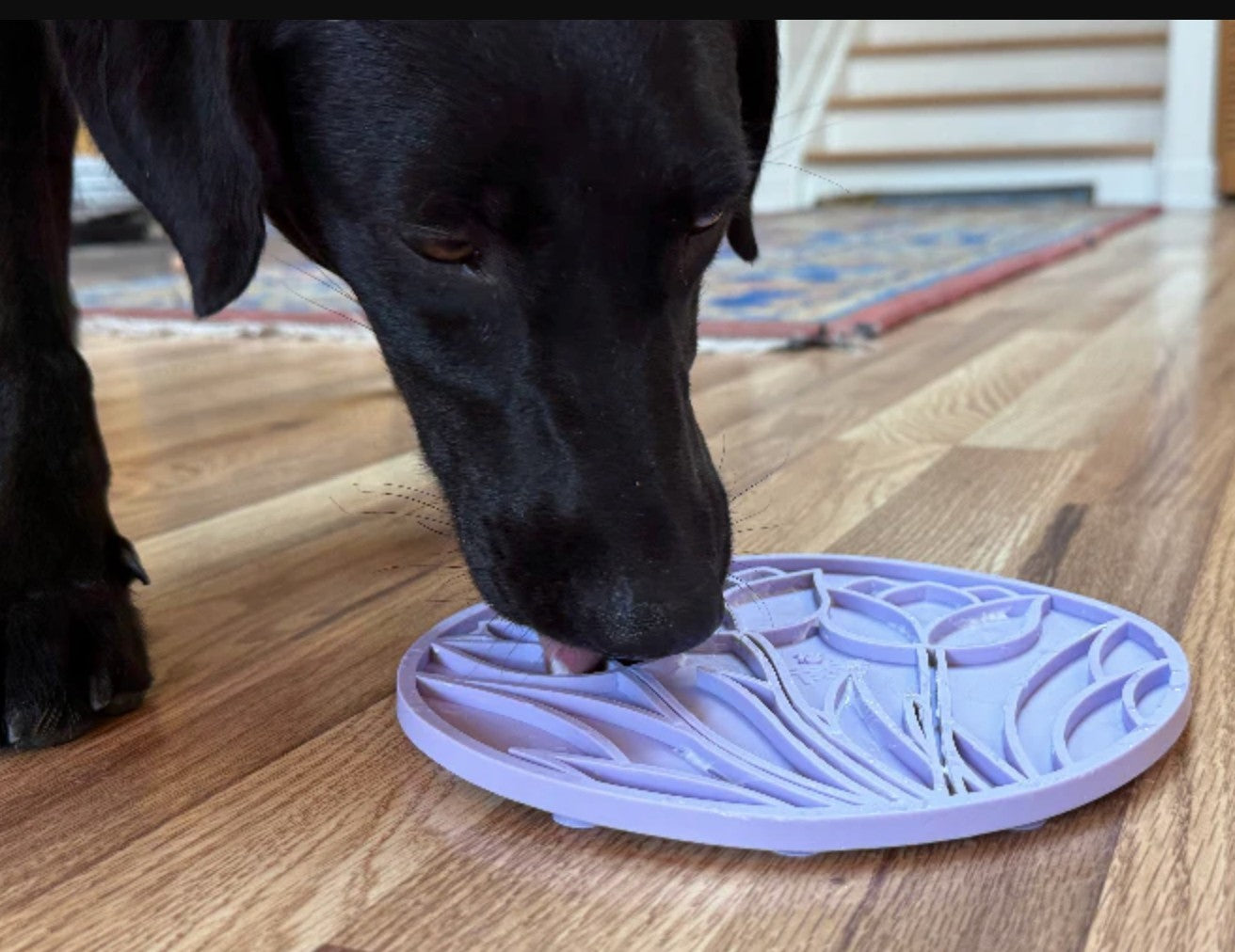 Tulip Design eMat Enrichment Lick Mat With Suction Cups