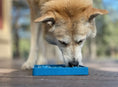 Load image into Gallery viewer, Waiting Dogs Design eTray Enrichment Tray for Dogs
