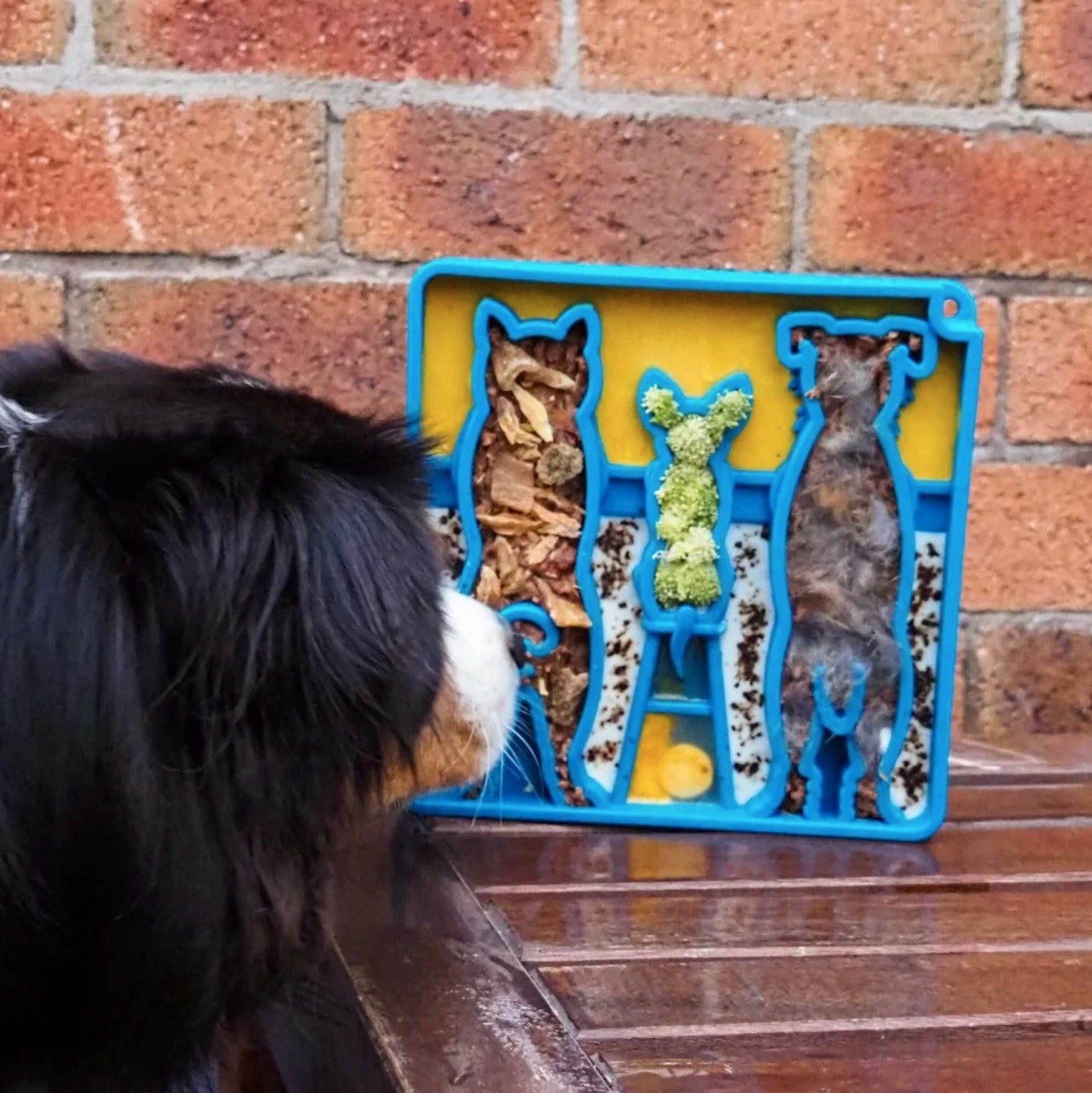 Waiting Dogs Design eTray Enrichment Tray for Dogs