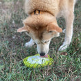 Load image into Gallery viewer, Water Frog Design eTray Enrichment Shallow Slow Feeder Dog Bowl
