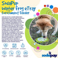Load image into Gallery viewer, Water Frog Design eTray Enrichment Shallow Slow Feeder Dog Bowl
