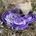 Load image into Gallery viewer, Water Frog Design eTray Enrichment Shallow Slow Feeder Dog Bowl
