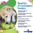 Load image into Gallery viewer, Water Frog Design eTray Enrichment Shallow Slow Feeder Dog Bowl
