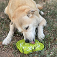 Load image into Gallery viewer, Water Frog Design eTray Enrichment Shallow Slow Feeder Dog Bowl
