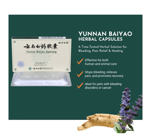 Yunnan Baiyao Capsules – Healing Support for Bleeding and Recovery